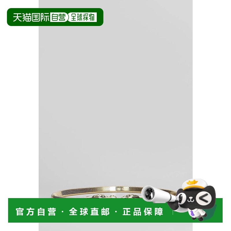 1h可退 香港直邮CHLOÉ 女士腰带 423589CHC24WC079CB7 AW2025 金