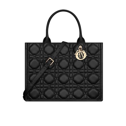 Dior 中号Book Tote单肩包 M1324OWHP