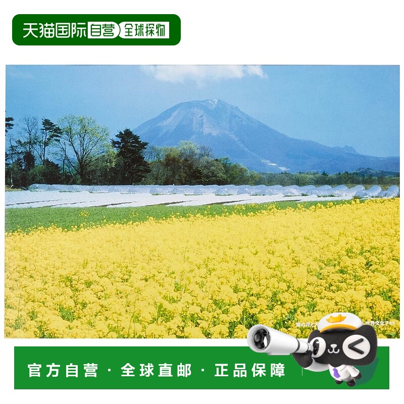 【日本直邮】富士胶片FUJICOLOR亚克力相框 A4尺寸 银色