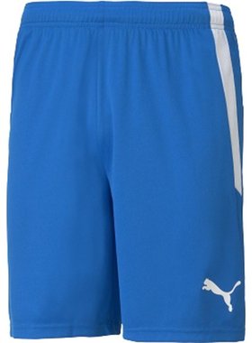 日本直邮PUMA TEAMLIGA 比赛裤足球训练服 705151-02