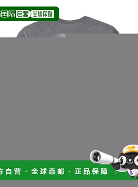 自营欧洲直邮PATAGONIA CHOUINARD CREST男士灰色棉质短袖T恤上衣