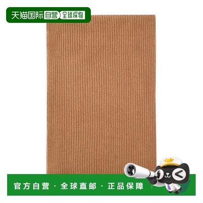 香港直邮PINKO 女士围巾 105996A2Z4D23 AW2025 棕色 SLOVENIA