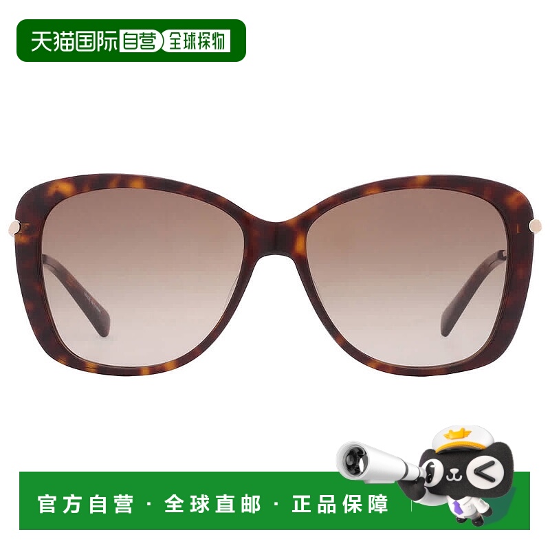 自营Longchamp Brown Gradient Butterfly Ladies Sunglasses LO6