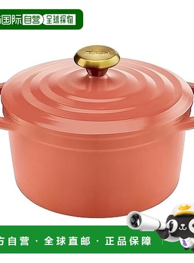 【日本直邮】T-fal特福两手锅 20cm  E26844  Compatible Cocotte