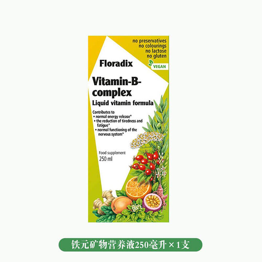 欧洲直邮英国药房Floradix铁元矿物营养液维生素B复合维他命250ml