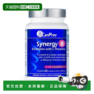 加拿大直邮CanPrev Pro Essentials Synergy B（60 粒 V 胶囊）