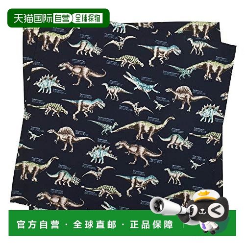 【日本直邮】Colorful Candy Style 午餐布恐龙博物馆 N3966700