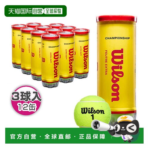 日本直邮Wilson Championship Extra Duty 网球 WR8219501001 3球