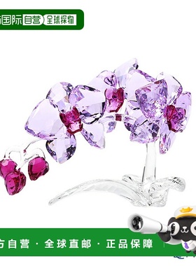 日本直邮施华洛世奇兰花 SWV5-520-373 21SS 施华洛世奇花雕像物
