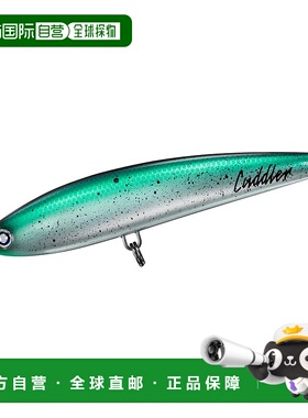 日本直邮Daiwa Offshore Lure Saltiga Cuddler 160F 绿色可爱岛