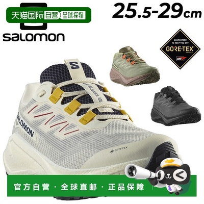 日本直邮Salomon 男士低帮防水厚底鞋慢跑鞋 AERO BLAZE 3 GRVL G