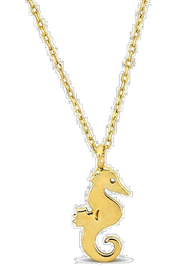 自营Mimi & Max 海马吊坠带链条 14k 金 - 17 英寸 - 黄色 美国奥