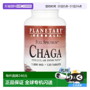 香港直發(fā)Planetary Herbals白樺茸草本補(bǔ)充劑細(xì)胞抵抗因子120片