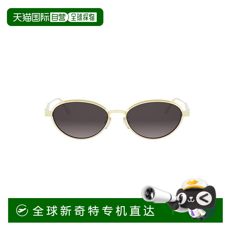 1h可退 香港直邮DIOR 男士太阳镜 DIORCANNAGER1UB0A1 SS2025 银