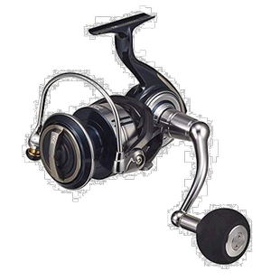 自营｜DAIWA达亿瓦旋转卷轴21 CERTATE SW 1000-P钓鱼装备鱼轮