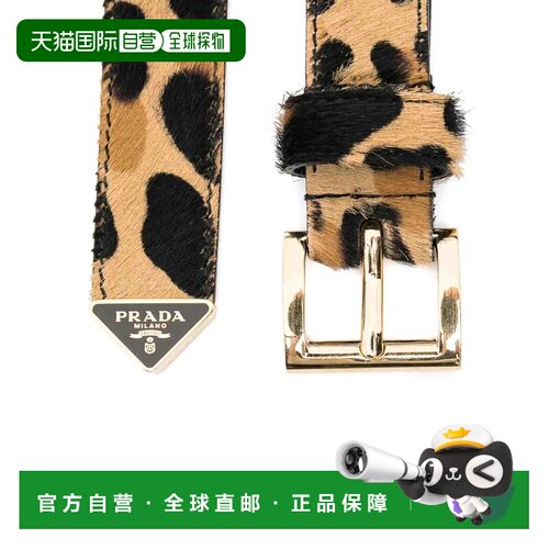 香港直邮PRADA 女士腰带 1CC6182C7BF0151 SS2025 棕色 穿孔腰带