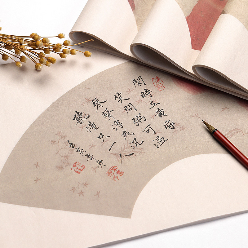 水云阁和风扇面团扇复古笺半生半熟空白宣纸毛笔字书法专用作品纸中国风古典印花图案初学者成人练习创作专用