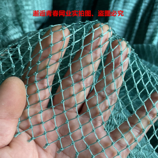 渔网网片聚乙烯网衣有结网鸡鸭围网鱼塘拦网养殖网爬藤网有节渔网