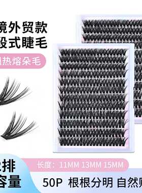 大容量14排QDL-009/010 80D/100D 卷翘自然多种长度厂家 直供