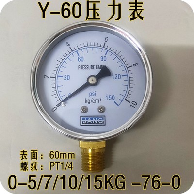 Y-60普通压力高精度立式