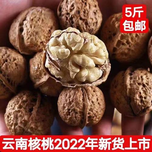 2025年云南野生薄皮干核桃孕妇零食坚果直发纸皮核桃精选