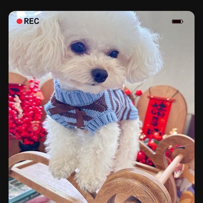 小体犬小鹿犬法斗比熊马尔济斯小狗狗的漂亮衣服冬季加厚保暖柔软