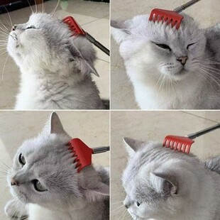 宠物痒痒挠排梳按摩神器互动型玩具逗豚鼠棒可伸缩式鼠类玩具可爱