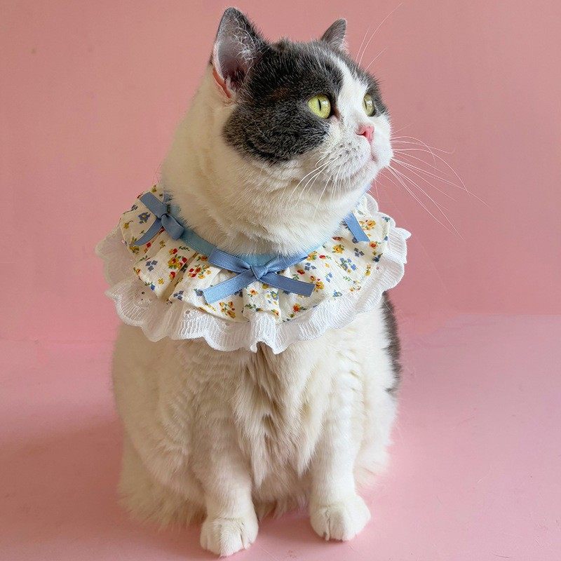 猫咪围兜狗狗口水巾卡通樱桃蝴蝶蕾丝围脖宠物配饰布偶德文小型犬,宠物/宠物食品及用品,围巾/口水巾,淘宝优惠券,粉丝福利购,淘宝优惠卷