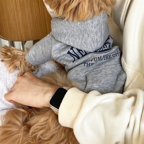 吉娃娃幼犬小猫咪小鹿犬专用衣服过冬三个月冬季约克夏冬天可爱