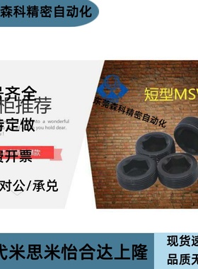 MSWT-J/1/2/3/4/5/6/8 MSWTM锥形沉头螺塞/喉塞螺丝/闷头螺丝