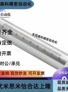 带刻度圆棒 光轴 圆柱刻度尺 刻度杆支柱 GSSTN RCY61不锈钢