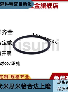 WSSM/NPA3/4/5/6/7/8/9/10/10/11/12/14/15/16/18/20/21/22密封圈