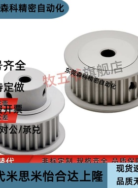 LAS5M-16/18/20/22/24/25/26/28/30/32/36/40-100/150/250惰轮