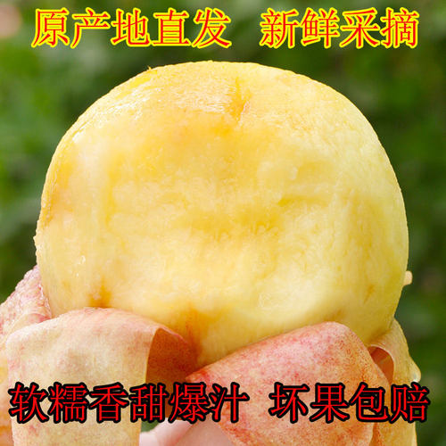 新鲜水蜜桃10农家现摘当季孕妇水果斤黄油整箱脆桃子5助农软毛桃