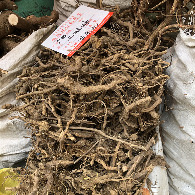 500克黄箭根中药材 三叉金 三托艾 大箭根 三姐妹草药