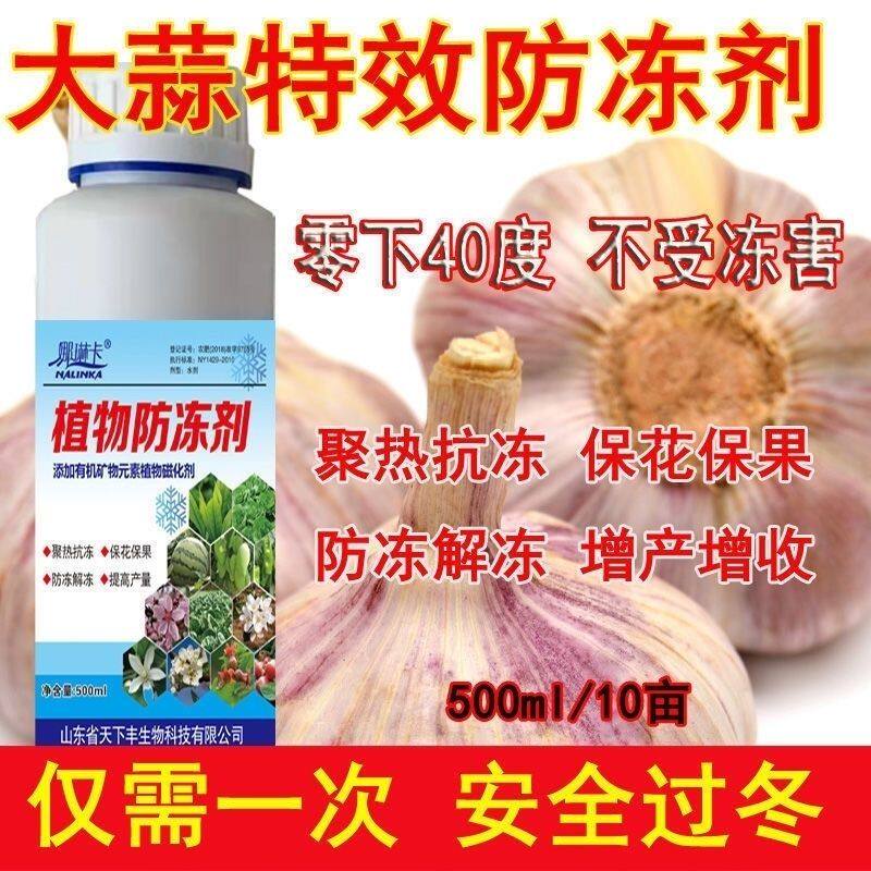 大蒜防冻剂蒜苗抗冻防冻液低温促无机肥