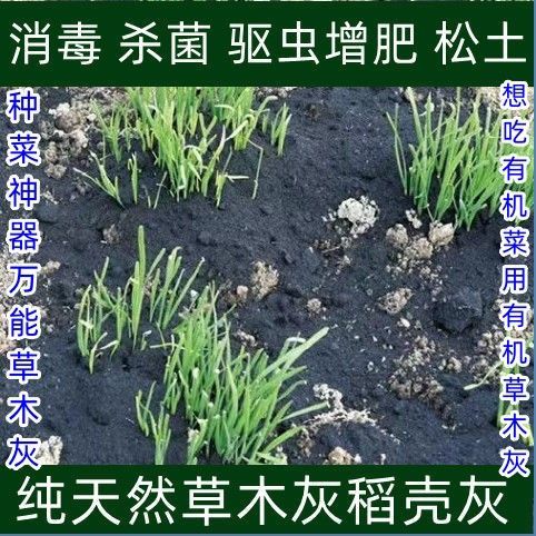 韭菜专用草木灰稻壳灰通