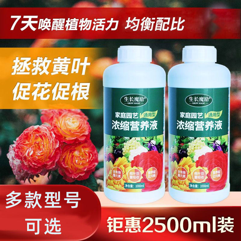 生长魔励营养液植物通用水培植物发财树富贵竹绿植家用养浓缩花肥