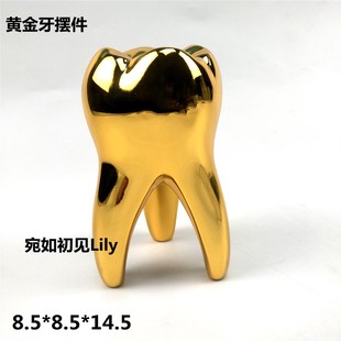 牙齿装饰模型黄金牙模型口腔门诊摆件装饰展柜大金牙牙科诊所饰品