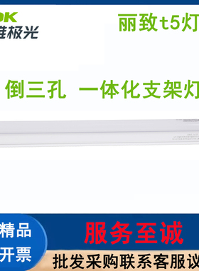 三雄极光丽致led灯管t5灯一体化支架全套家用客厅卧室日光灯灯管