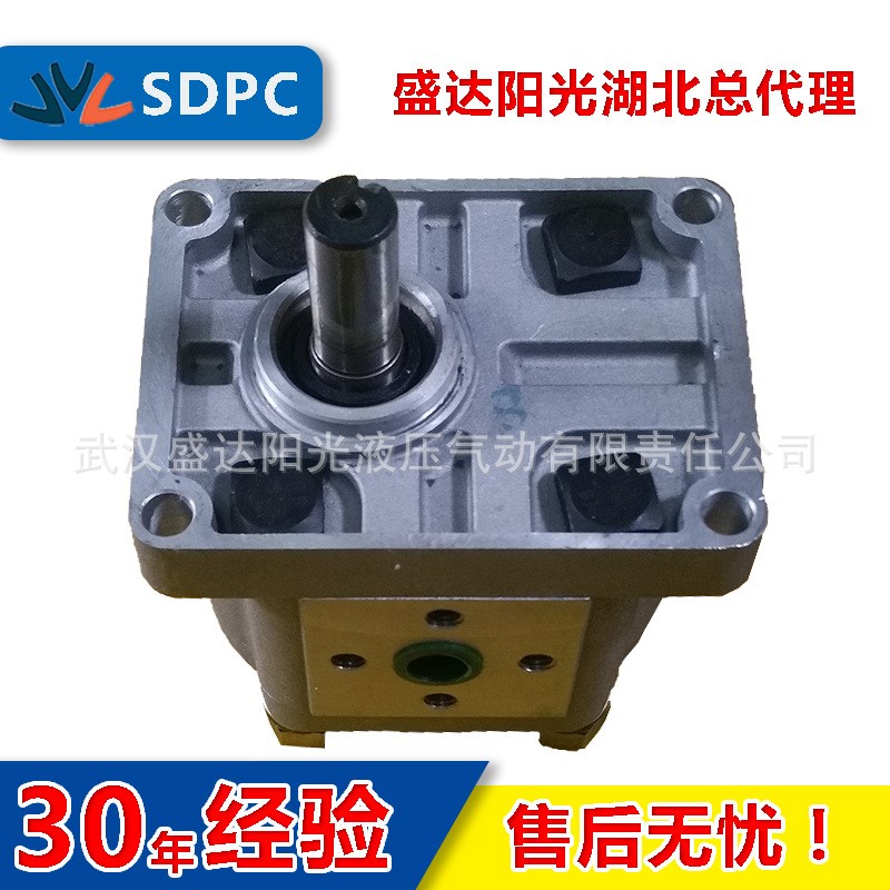 江苏淮安合肥长源CBN-E304高压齿轮泵CBN-E306齿轮油泵动力泵现货