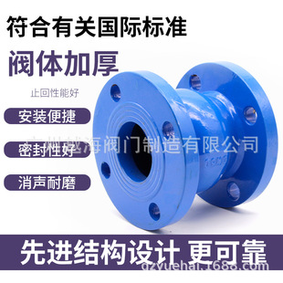 不锈钢阀芯止回阀消声单向阀消音HC41X 16P水管泵消防管道立卧式