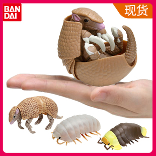 万代扭蛋 生物图鉴 团子虫 西瓜虫 鼠妇 犰狳蜥 蜥蜴可动昆虫摆件