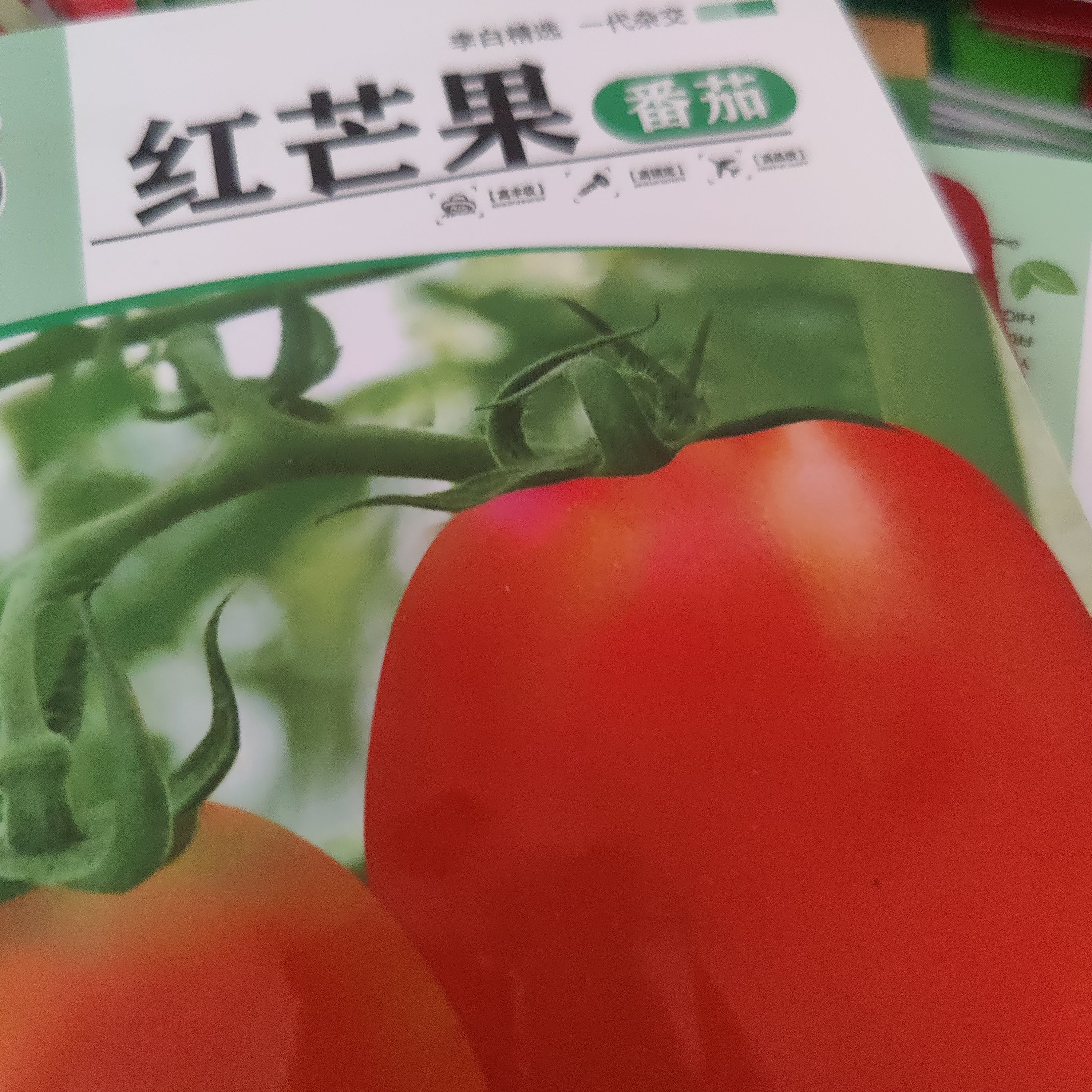 红芒果形状小番茄种子花生西红柿种籽子盆栽阳台庭院种植蔬菜大全