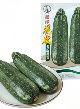 东北花皮角瓜种子 45天早熟墨绿麻皮西葫芦吉林老品种肉质蔬菜瓜