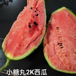 潍坊寒亭2K小西瓜全美2K小糖丸西瓜爆汁超甜产地现采2026