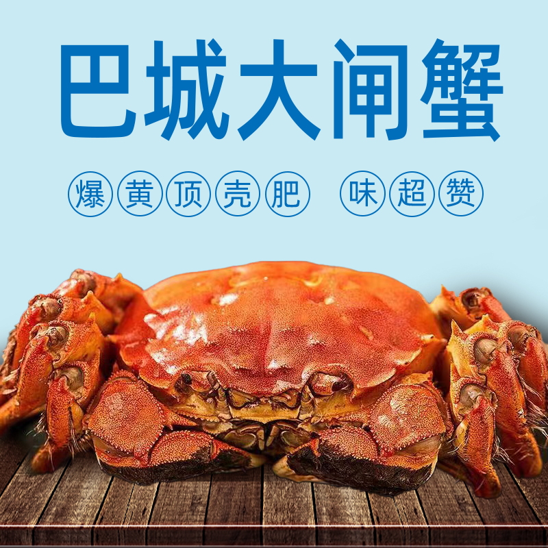 特大鲜活大闸蟹巴城大闸蟹8只  公蟹4.0～3.5两