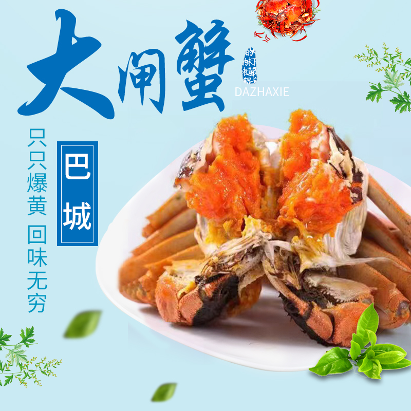 活蟹 3.5～3.0两母10只大闸蟹巴城大闸蟹  顺丰空运，次日达