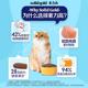 素力高成猫高蛋白 猫粮官方旗舰店SolidGold金素猫粮幼猫进口金装