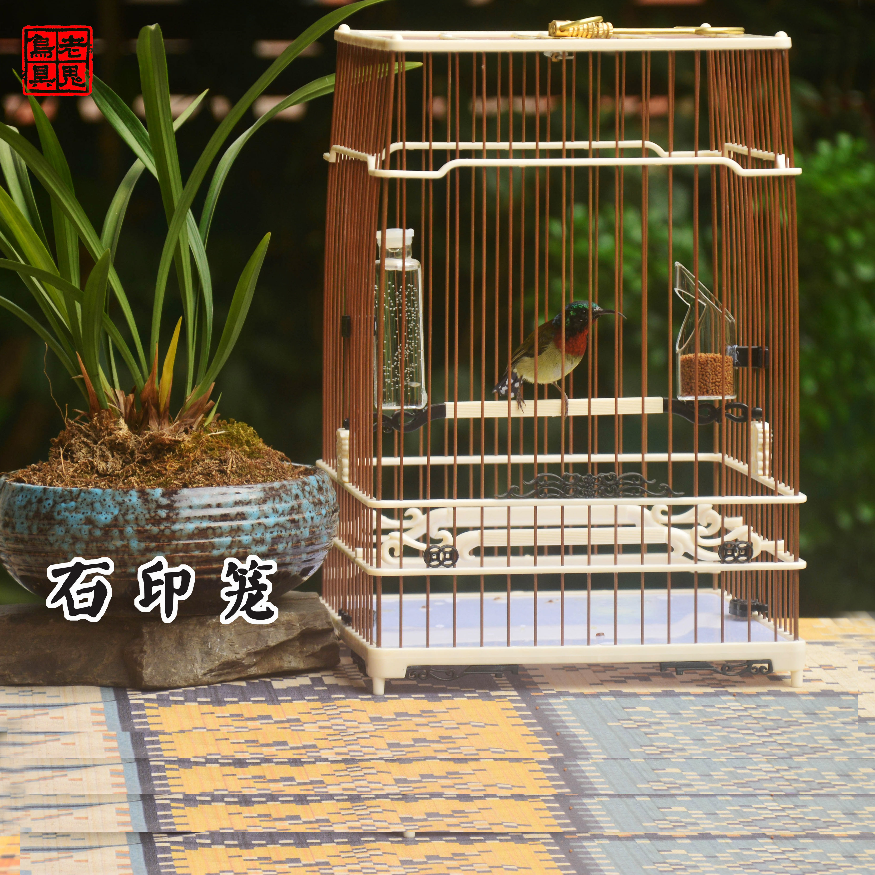 啾鸣轩石印笼绣眼金青灰燕麻雀石燕芙蓉玉鸟文鸟骨色塑钢笼亮笼